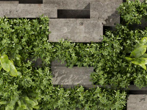 Collection plant vol 512 - fitowall - Concrete - fern - bush 3D Model