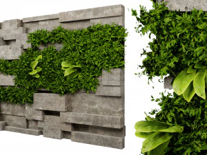 कलेक्शन प्लांट वॉल्यूम 512 - ब्लेंडर मॉडल 3D मॉडल