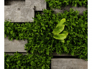 Collection plant vol 512 - blender model Modelo 3D