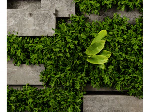 Collection plant vol 512 - blender model 3D Model