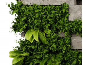 Collection plant vol 512 - blender model 3D Model