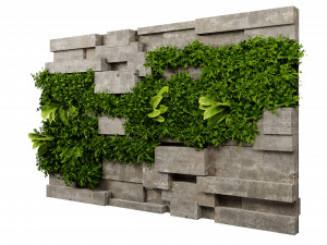 Collection plant vol 512 - blender model Modelo 3D
