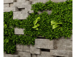 Collection plant vol 512 - blender model 3D Model