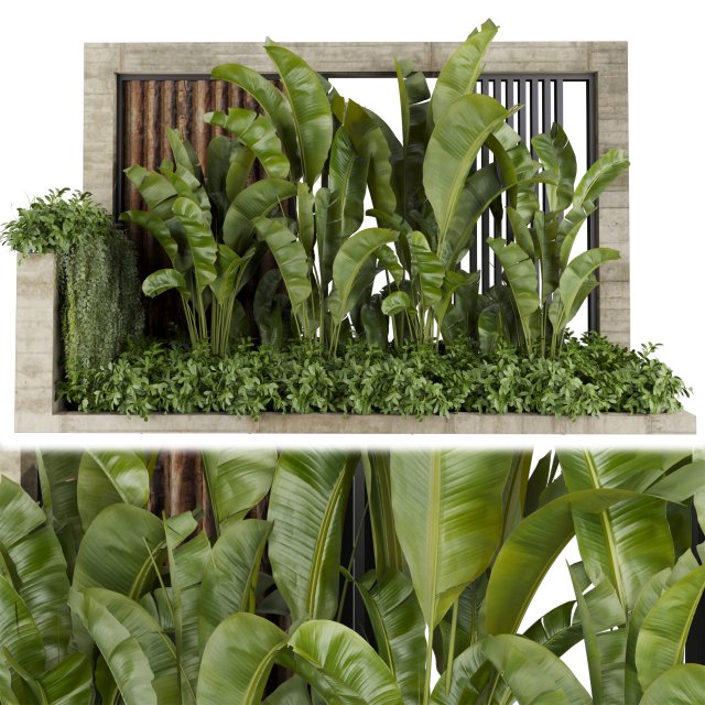 Collection plant vol 513 - garden - leaf - banana - wood Modèle 3D .c4d .max .obj .3ds .fbx .stl .blend 