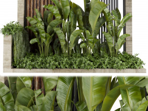 Collection plant vol 513 - garden - leaf - banana - wood 3D Model