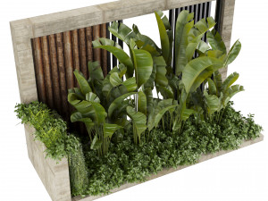 Collection plant vol 513 - garden - leaf - banana - wood Modèle 3D