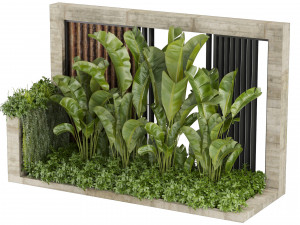 Collection plant vol 513 - garden - leaf - banana - wood Modèle 3D
