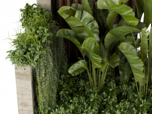 Collection plant vol 513 - garden - leaf - banana - wood Modèle 3D