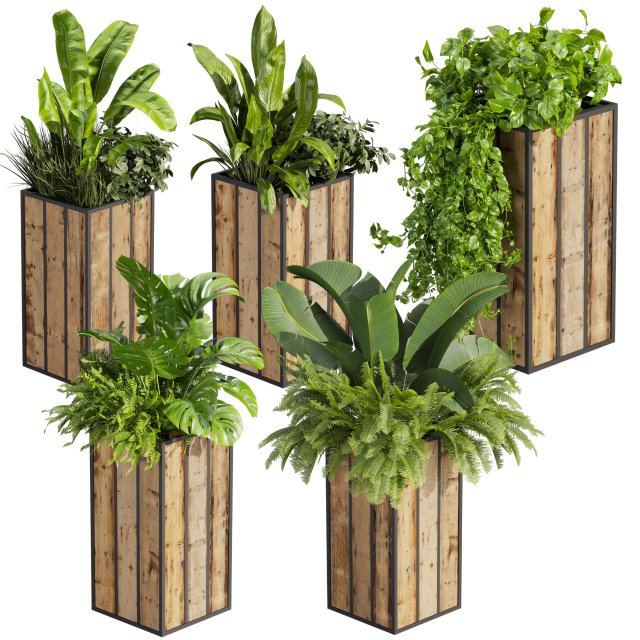 Collection plant vol 514 - box - banana - office 3D Model .c4d .max .obj .3ds .fbx .stl .blend 
