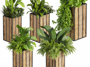 Collection plant vol 514 - box - banana - office 3D Model