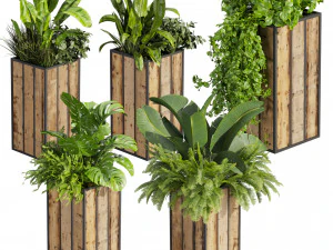 Plante de collection vol 514 - bo&icirc;te - banane - bureau Modèle 3D