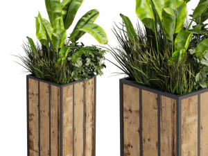 Collection plant vol 514 - box - banana - office 3D Model