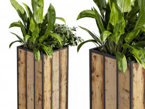 Collection plant vol 514 - box - banana - office 3D Model