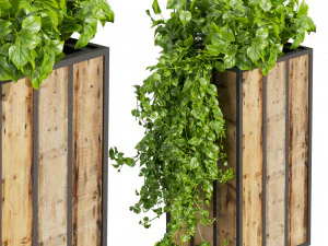 Collection plant vol 514 - box - banana - office 3D Model