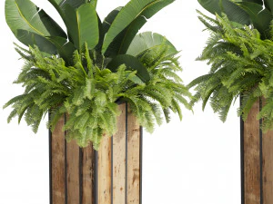 Collection plant vol 514 - box - banana - office 3D Model