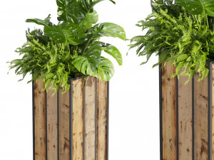 Collection plant vol 514 - box - banana - office 3D Model