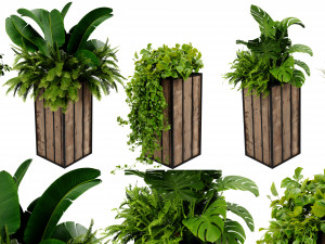 Collection plant vol 514 - blender model 3D Model