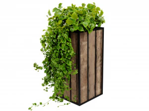 Collection plant vol 514 - blender model 3D Model