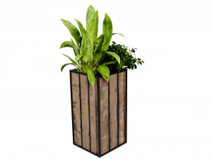 Collection plant vol 514 - blender model 3D Model