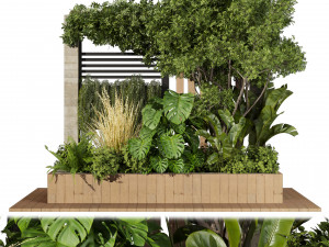 Collection plant vol 515 - garden - leaf - tree- wood 3D Model