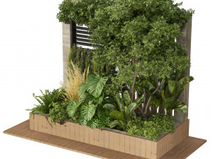 Collection plant vol 515 - garden - leaf - tree- wood 3D Model