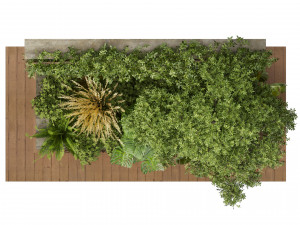 Collection plant vol 515 - garden - leaf - tree- wood 3D Model