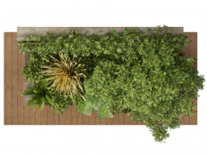 Collection plant vol 515 - garden - leaf - tree- wood 3D Model