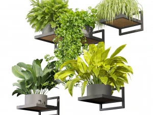 Collection plant vol 516 - hanging- palm - banana - pothos 3D Model