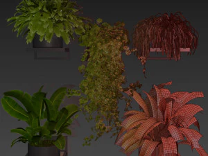 Collection plant vol 516 - hanging- palm - banana - pothos 3D Model