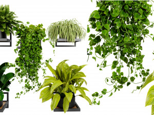 Collection plant vol 516 - blender model 3D Model