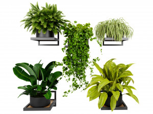 Collection plant vol 516 - blender model 3D 모델