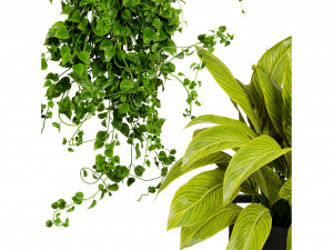 Collection plant vol 516 - blender model 3D 모델