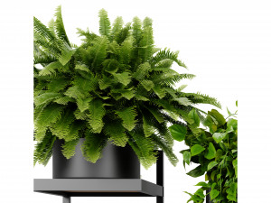 Collection plant vol 516 - blender model 3D 모델