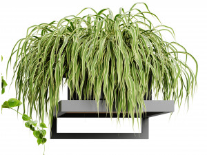 Collection plant vol 516 - blender model 3D 모델