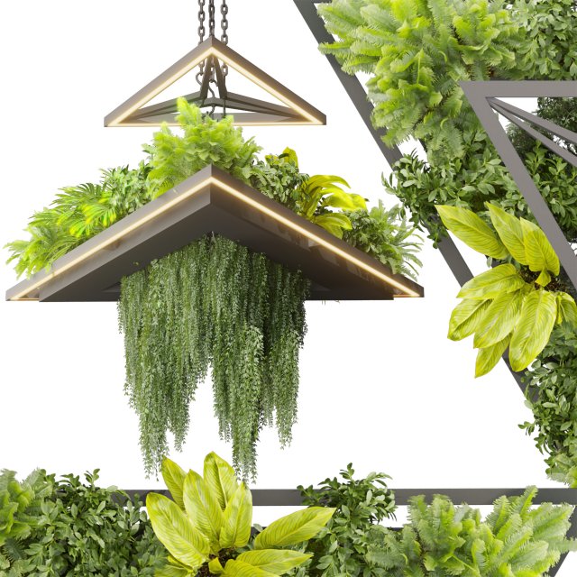 Collection plant vol 517 - chandelier - ampelous - hanging - fern 3D 모델 .c4d .max .obj .3ds .fbx .stl .blend 