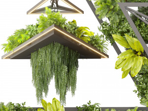 Collection plant vol 517 - chandelier - ampelous - hanging - fern Modèle 3D