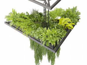 Collection plant vol 517 - chandelier - ampelous - hanging - fern 3D 모델
