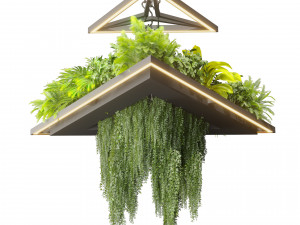 Collection plant vol 517 - chandelier - ampelous - hanging - fern 3D 모델