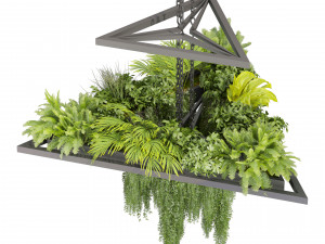 Collection plant vol 517 - chandelier - ampelous - hanging - fern 3D 모델