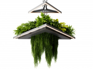 Collection plant vol 517 - blender model Modelo 3D