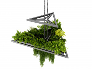 Collection plant vol 517 - blender model Modelo 3D