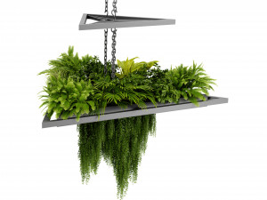 Collection plant vol 517 - blender model Modelo 3D