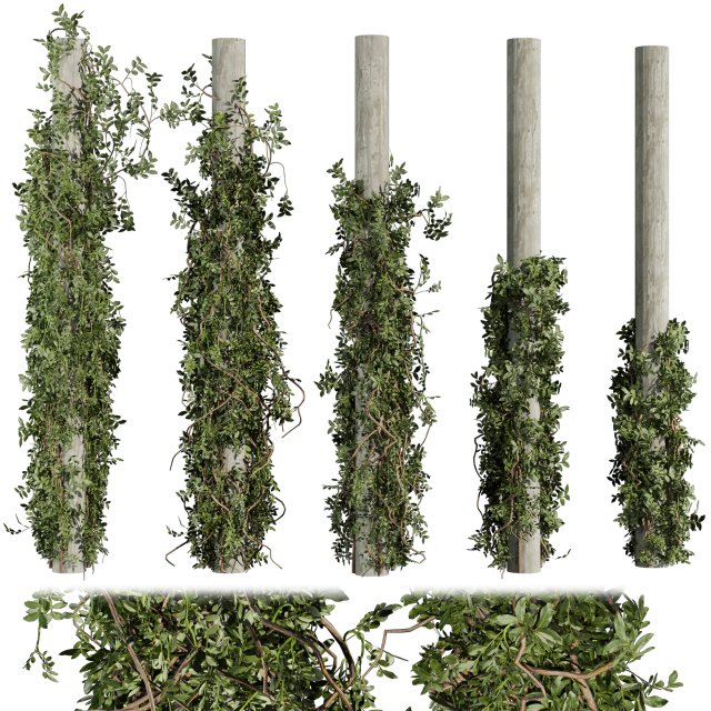 Collection plant vol 518 - bush - outdoor - column - fitowall - ivy 3D Model .c4d .max .obj .3ds .fbx .stl .blend