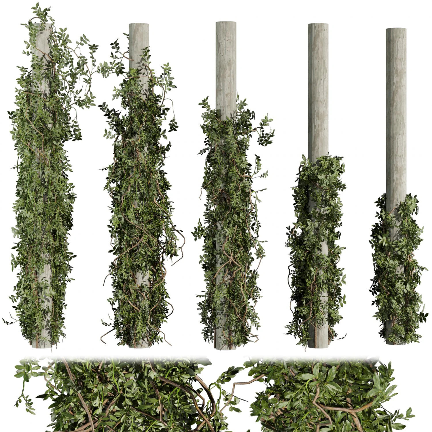 Pianta da collezione vol 518 - cespuglio - esterno - colonna - fitowall - edera Modello 3D .c4d .max .obj .3ds .fbx .stl .blend 