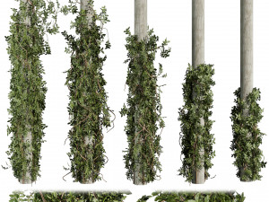 Collection plant vol 518 - bush - outdoor - column - fitowall - ivy 3D Model