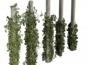 Pianta da collezione vol 518 - cespuglio - esterno - colonna - fitowall - edera Modello 3D