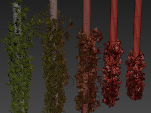 Pianta da collezione vol 518 - cespuglio - esterno - colonna - fitowall - edera Modello 3D