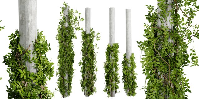 Collection plant vol 518 - blender model 3D Model .c4d .max .obj .3ds .fbx .stl .blend 