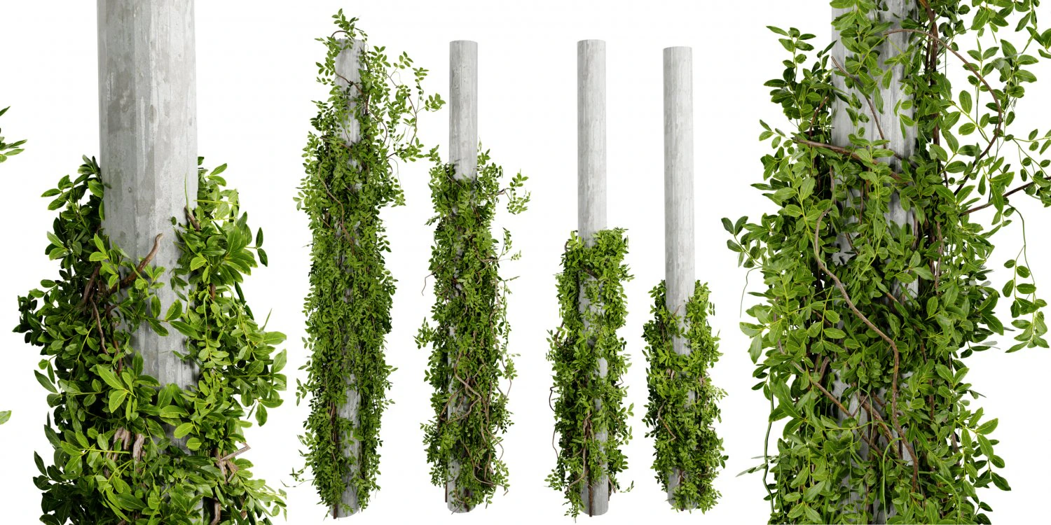 Collection plant vol 518 - blender model 3D Model .c4d .max .obj .3ds .fbx .stl .blend 