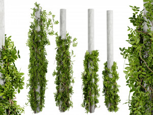 Collection plant vol 518 - blender model 3D Model